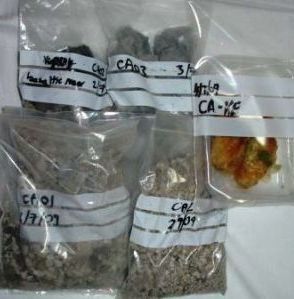 Samples