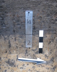 Profile at site Dzierzyslaw 35