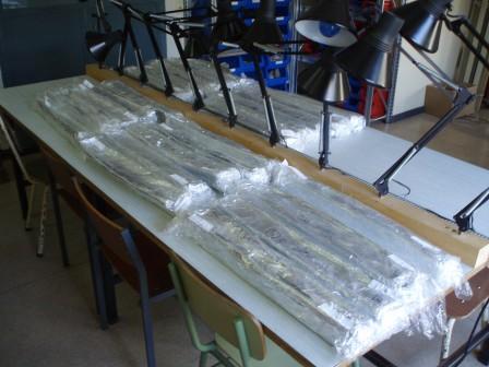 Padul peat bog cores