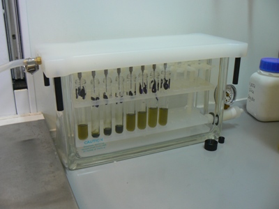 Biomarkers