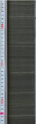 A section of the SG06 sediment core